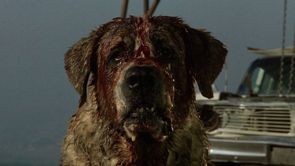 mordercze-psy-cujo-1983