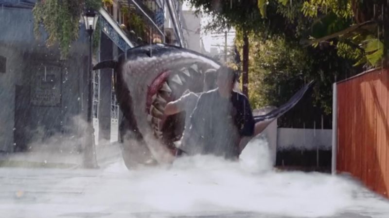 big-shark